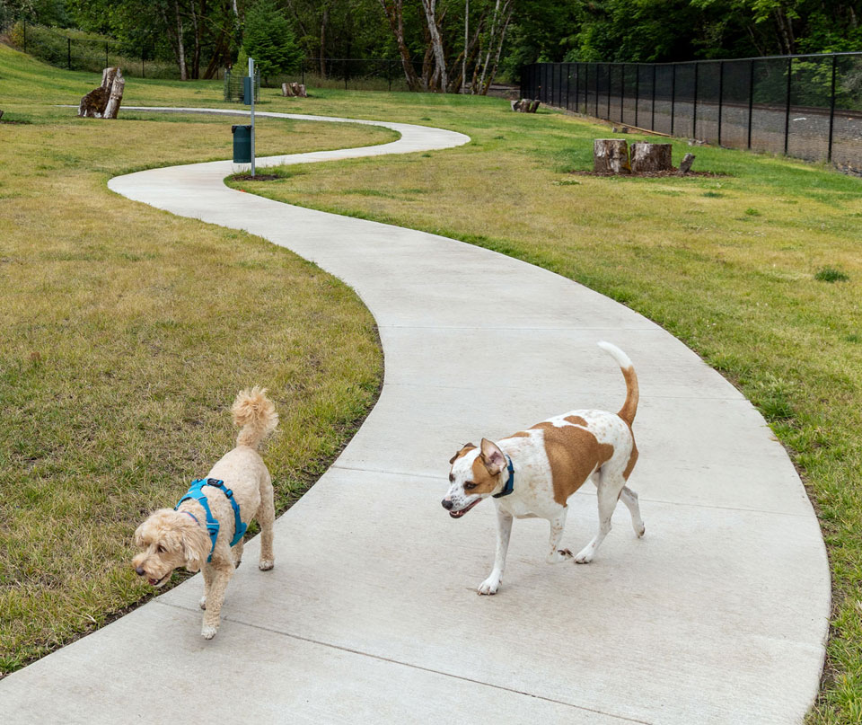 Veneta Dog Park